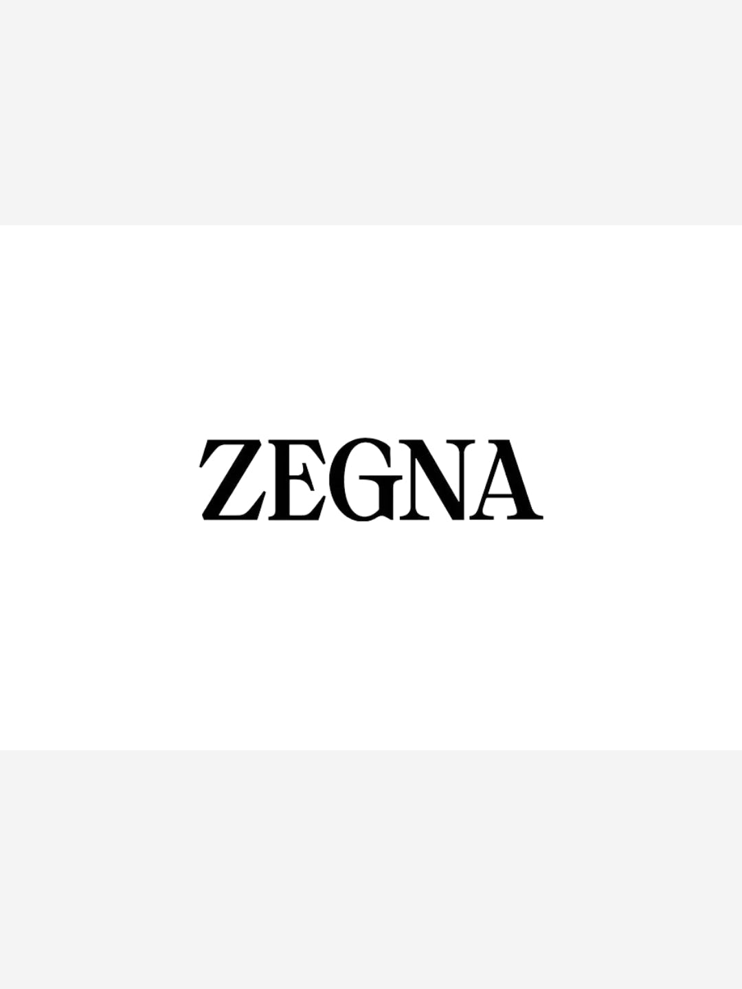 Zegna shoes
