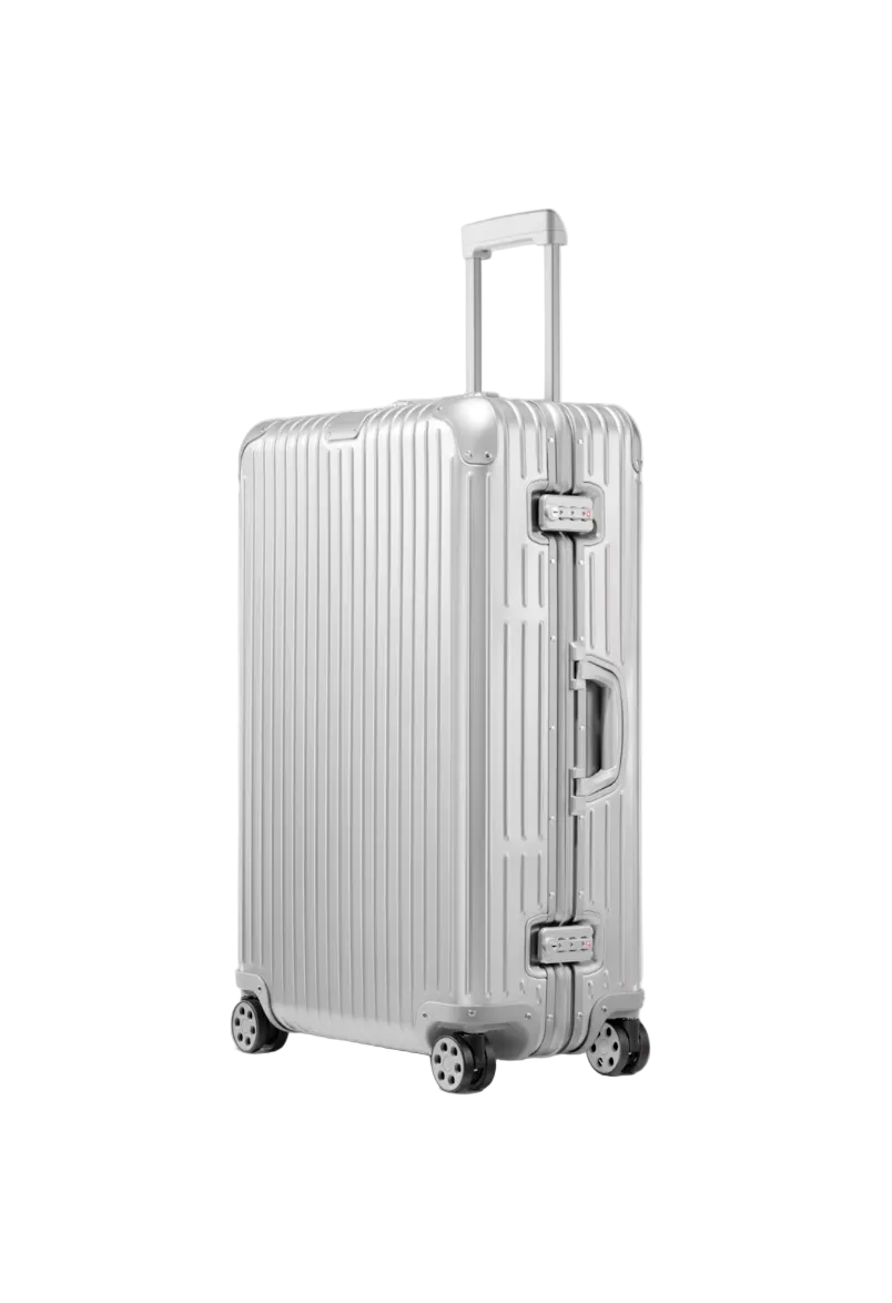 CHECK-IN LUGGAGE LARGE