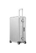 CHECK-IN LUGGAGE LARGE