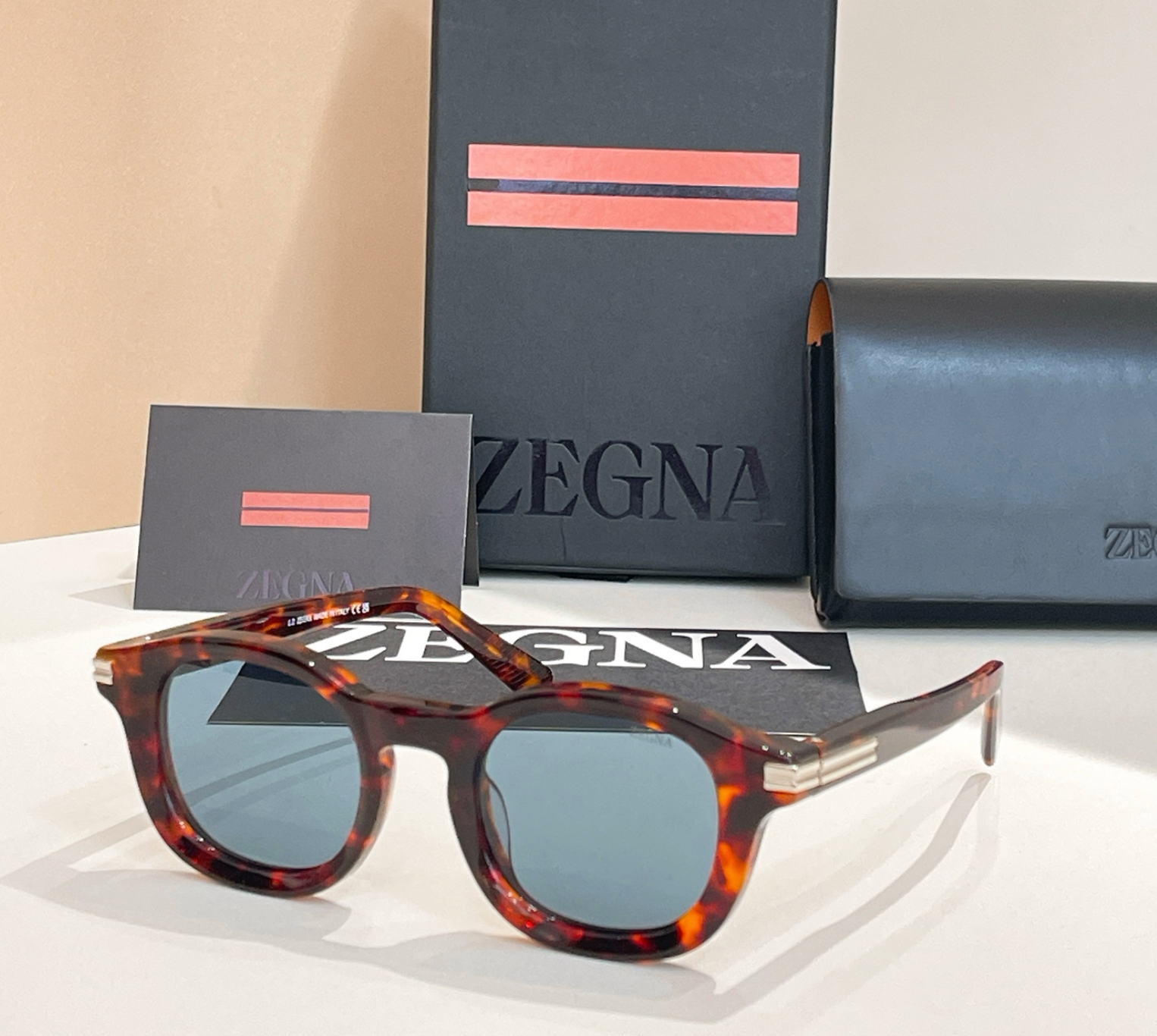 Zegna EZ0229