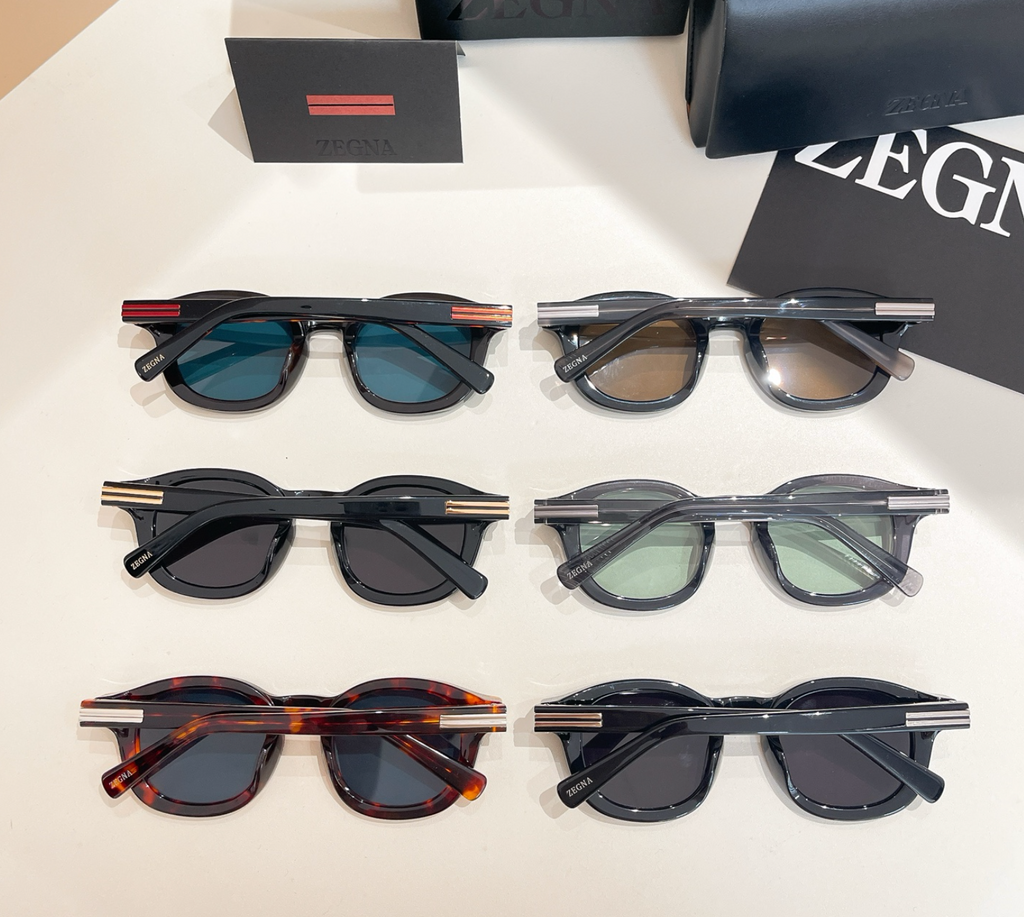 Zegna EZ0229
