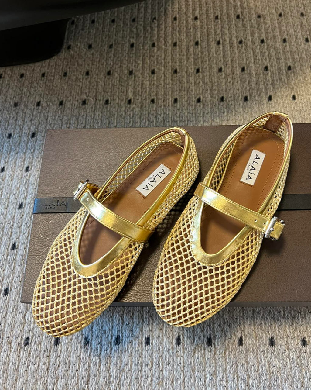 ALAÏA GOLD BALLET FLATS IN FISHNET